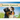 Australian Shepherds