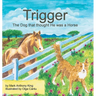 Trigger: The Dog that thought He was a Horse