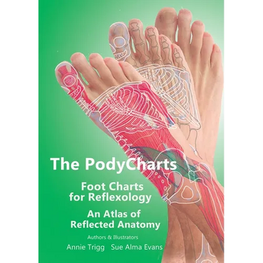The PodyCharts Foot Charts for Reflexology: An atlas of reflected anatomy