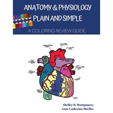 Anatomy & Physiology Plain and Simple: A Coloring Review Guide