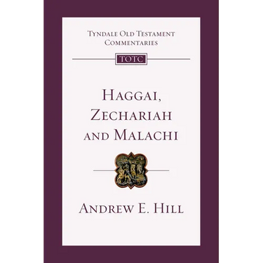 Haggai, Zechariah, Malachi: An Introduction and Commentary Volume 28