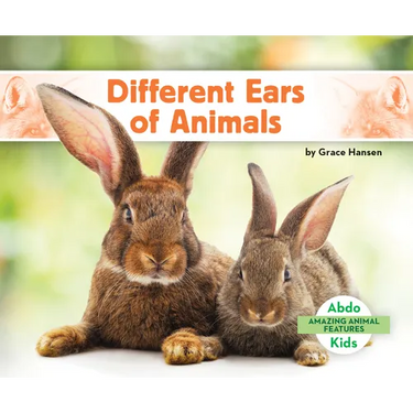 Different Ears of Animals