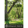 Peace in the Storm