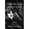 What Life Is Like Here on Earth