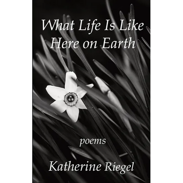 What Life Is Like Here on Earth