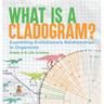 What is a Cladogram? Examining Evolutionary Relationships in Organisms Grade 6-8 Life Science