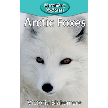Arctic Foxes