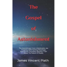 The Gospel of Astonishment: The Astonishingly Crazy Unbelievable Jaw Dropping Gobsmacking Shockingly Spectacular Exquisitely Beautiful Truth About
