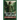 Archangel Raphael