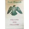 Falcons and Falconry