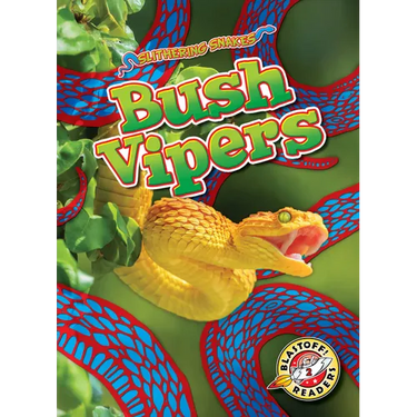 Bush Vipers