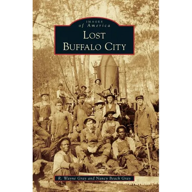Lost Buffalo City