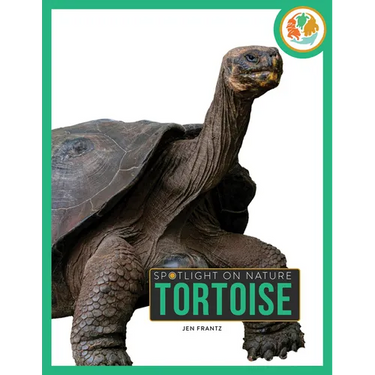 Tortoise