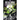 Dead Song Legend Dodecology Book 5: May