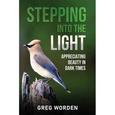 Stepping into the Light: Appreciating Beauty in Dark Times