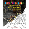Coloring Book The Adventures of Cobasfang Raid on Norgon City