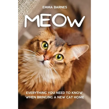 Meow: Everything You Need to Know When Bringing a New Cat Home
