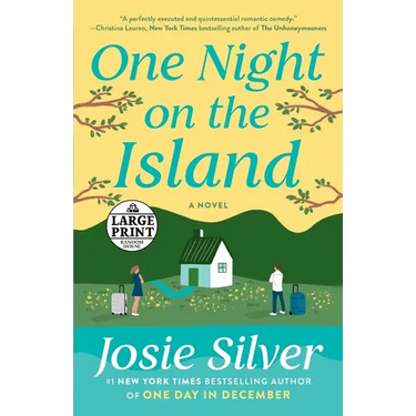 One Night on the Island