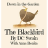 The Blackbird: Down in the Garden