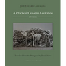A Practical Guide to Levitation: Stories