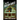 In the Dream House: A Memoir