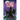 Night Club Volume 1