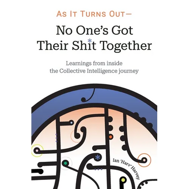 As it Turns Out - No One's Got Their Shit Together: Learnings from inside the Collective Intelligence journey