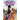 Creaky Acres: A Graphic Novel
