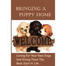 Bringing A Puppy Home: Caring For Your New Dogs And Giving Them The Best Start In Life: Raise The Perfect Dog