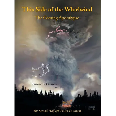 This Side of the Whirlwind