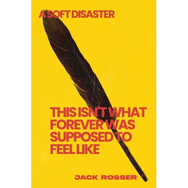 This Isn't What Forever Was Supposed To Feel Like: A Soft Disaster