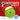 The Christmas Sprout: With a Christmas Kindness Advent Calendar