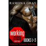 Working Men Series Books One to Three: The Mechanic, The Carpenter, The Bartender