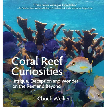 Coral Reef Curiosities: Intrigue, Deception and Wonder on the Reef and Beyond