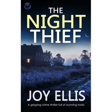 THE NIGHT THIEF a gripping crime thriller full of stunning twists
