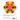 Cortical Visual Impairment Advanced Principles