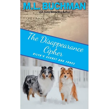 The Disappearance Cipher: a coming of age romantic suspense