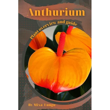 Anthurium: Plant overview and guide