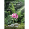 Effectual Prayer Nourished in the Heart by Christ: "Lord, teach us to pray." (Luke 11:1)