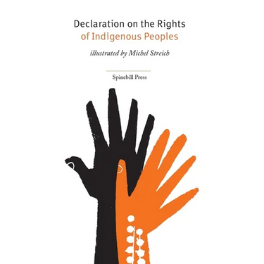Declaration on the Rights of Indigenous Peoples