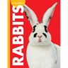 Curious about Rabbits