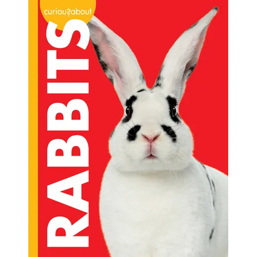 Curious about Rabbits