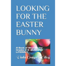 Looking for the Easter Bunny: A Book of Rhyming for Grades 2-3 -BUILDING LITERACY