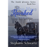 You Have Ravished My Heart: An Amish Romance Novel