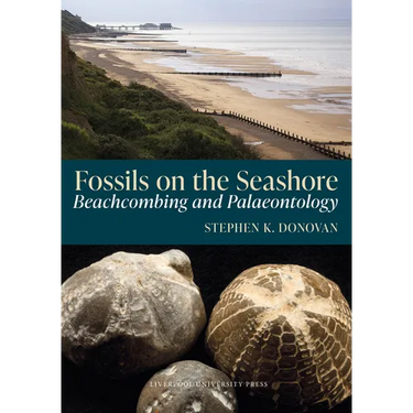 Fossils on the Seashore: Beachcombing and Palaeontology