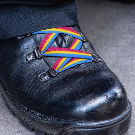 Pansexual Flag Striped Shoe Laces by Fundraising For A Cause