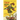 Tarot Original 1909 Book