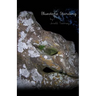 Bluestone Standing
