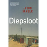 Diepsloot