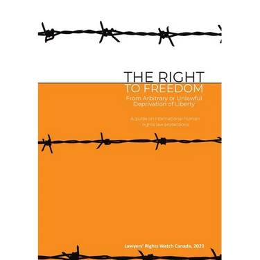 The Right to Freedom from Arbitrary or Unlawful Deprivation of Liberty